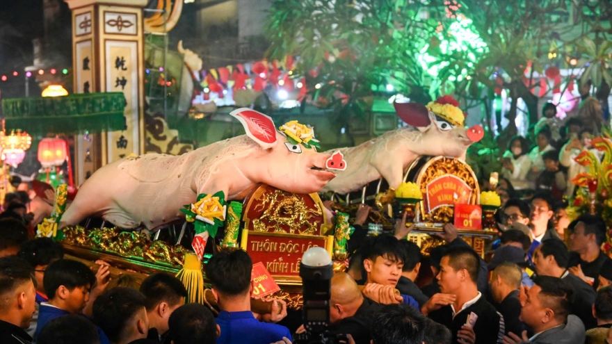 Unique pig procession festival in Hanoi’s La Phu village