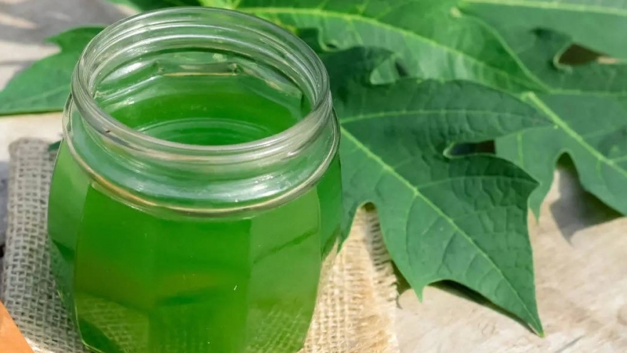 Việt Nam có loại lá tưởng không ăn được, hóa ra lại là vị thuốc “siêu bổ dưỡng”