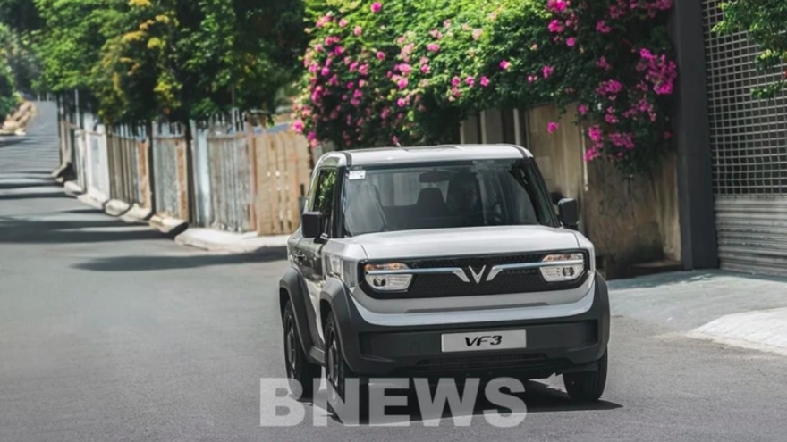 VinFast delivers over 10,000 EVs in Vietnam in January