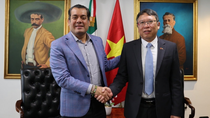 Việt Nam và Mexico cần xem xét nâng cấp quan hệ ngoại giao