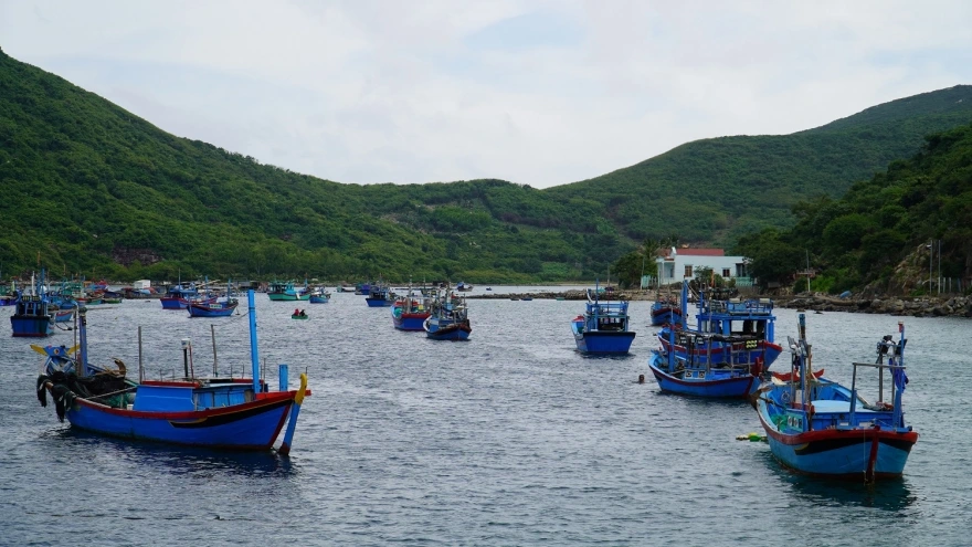 Làng chài trên vịnh Nha Trang phấn đấu đón 45.000 khách du lịch mỗi năm