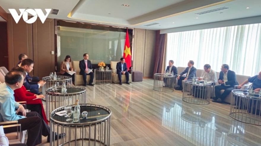 Government leader meets major foreign investors in Ba Ria-Vung Tau
