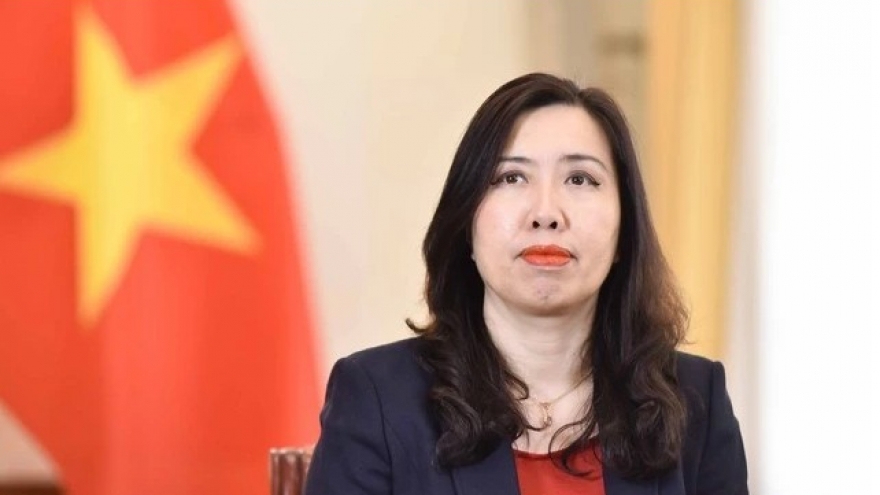 Belgian King, Queen's Vietnam visit to usher in a new era of ties