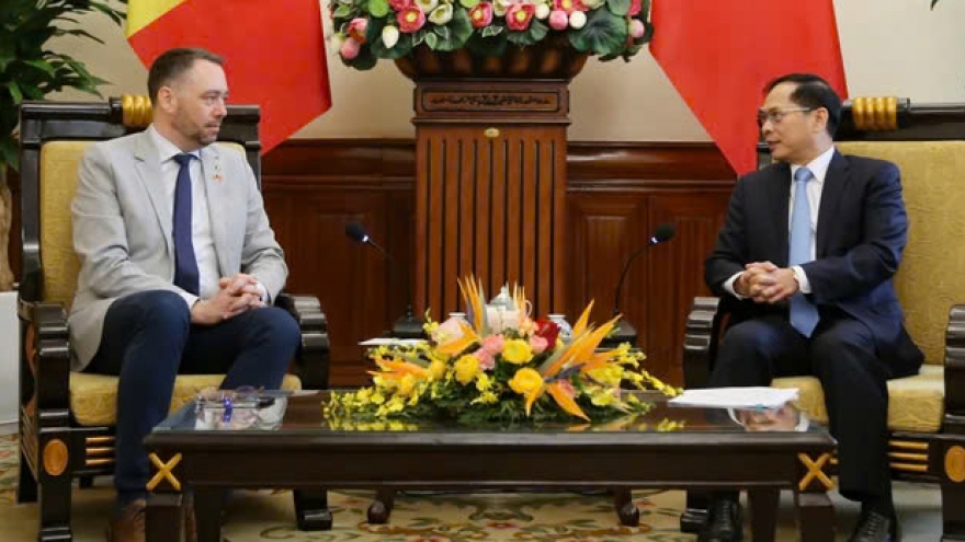 Vietnam values multifaceted cooperation with Belgium: Deputy PM