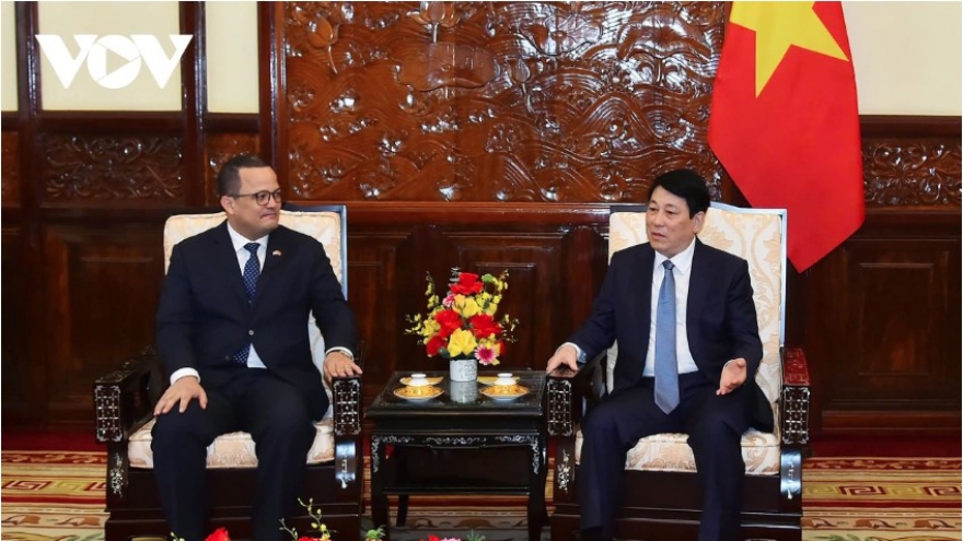 President Luong Cuong seeks to strengthen comprehensive ties with Dominican Republic
