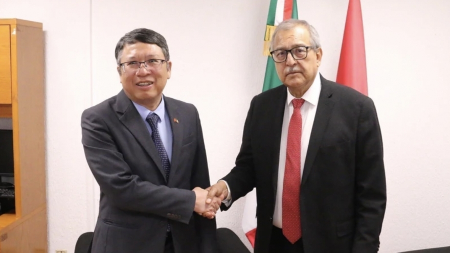 Vietnam, Mexico boast great cooperation potential: Mexican official