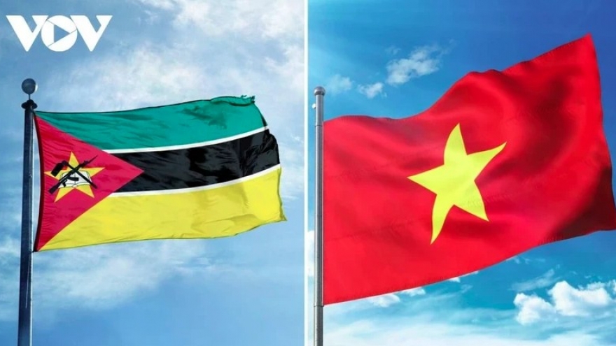 Vietnam sees Mozambique priority partner in Africa: Ambassador