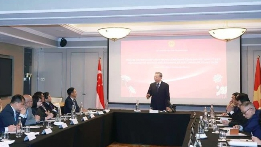 Top leader meets with overseas Vietnamese intellectuals in Singapore