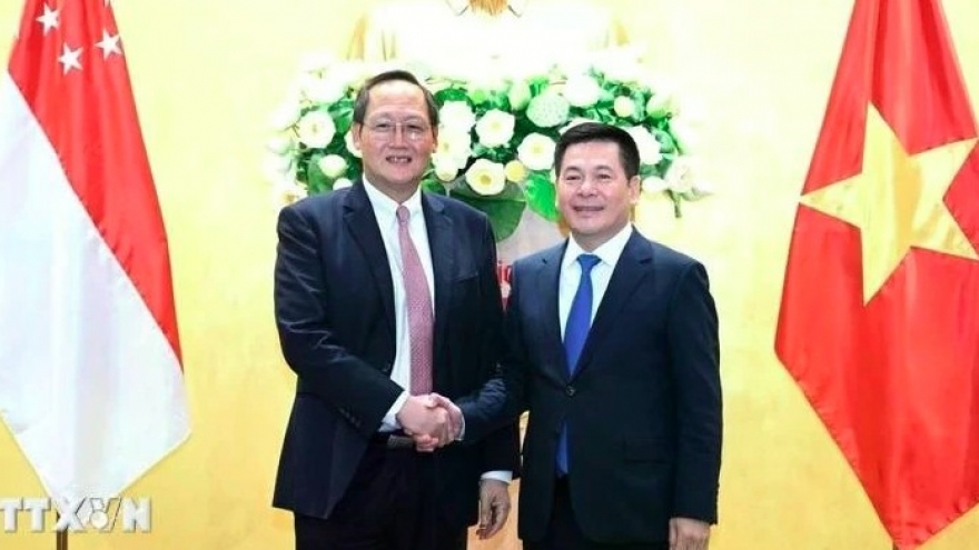 Vietnam – Singapore relations poised for breakthrough: Singaporean MP