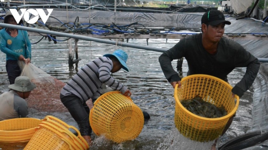 Vietnam recognized for top shrimp processing technology