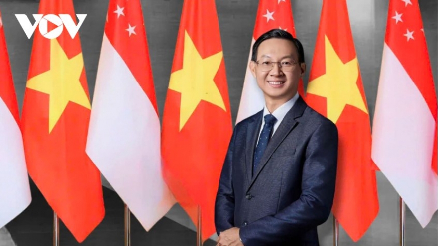 Political trust propels Vietnam-Singapore cooperation to new heights