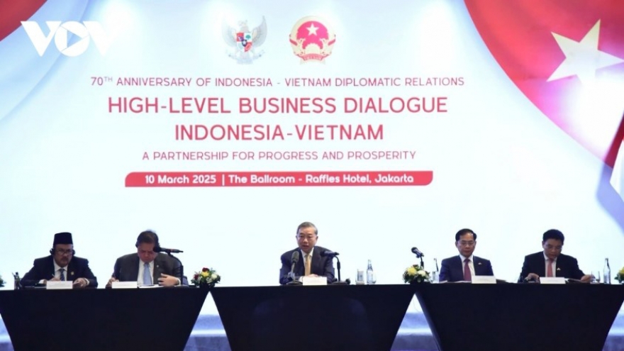 Party leader urges Indonesian businesses to make long-term investments in Vietnam