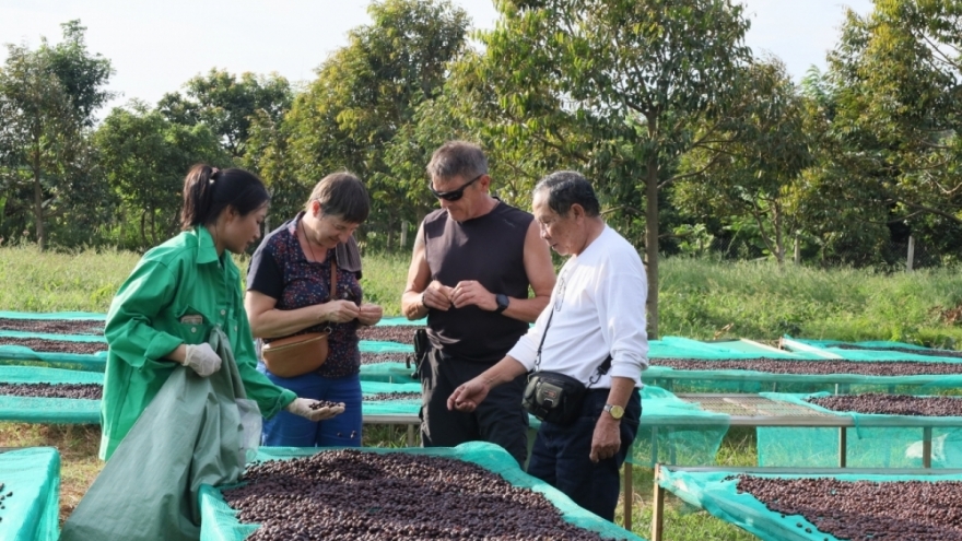 Chế biến sâu giúp nâng tầm giá trị hạt cà phê