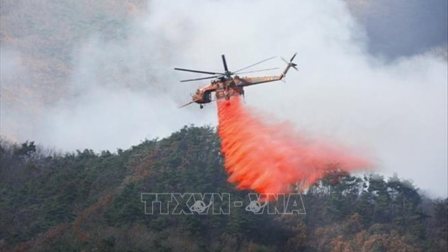 Điện thăm hỏi vụ cháy rừng nghiêm trọng tại Hàn Quốc