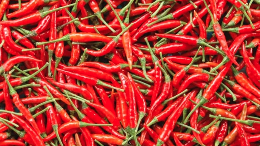 Chili export turnover falls sharply by 52% year on year