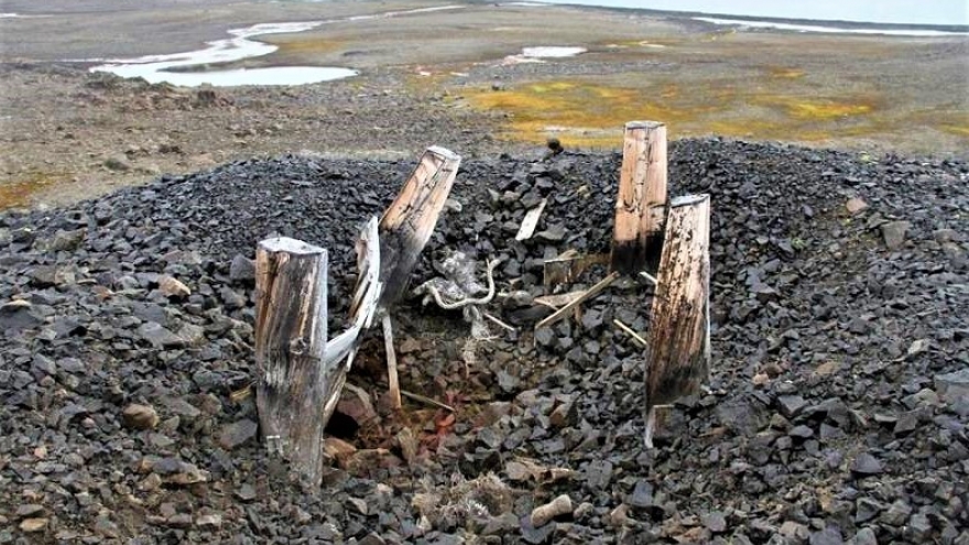 Trạm khí tượng bí mật của phát xít Đức đã bị gấu “xóa sổ” như thế nào?