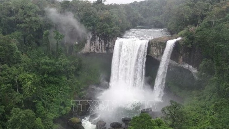 Vietnam works to connect local ASEAN Heritage Parks for better protection