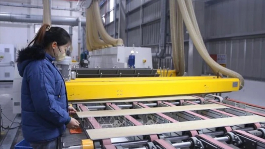 Hai Phong: A second home for foreign investors