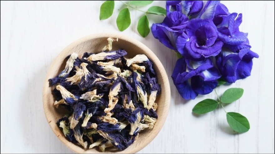 Tác dụng không ngờ của hoa đậu biếc đối với sức khỏe