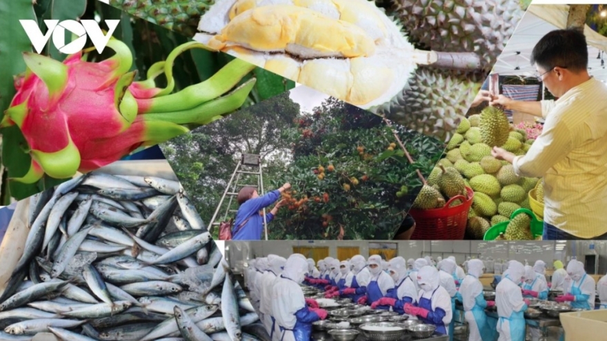 Import-export turnover rises by 12% as of mid-March
