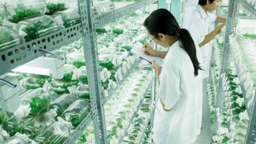 Vietnam partners with Israel for hi-tech agricultural innovation