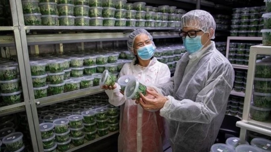 Israel’s agritech expected to help Vietnam increase agricultural productivity