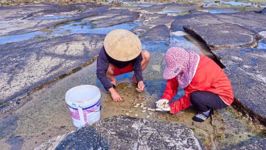 Bach Long Vi island: A model for marine biodiversity protection