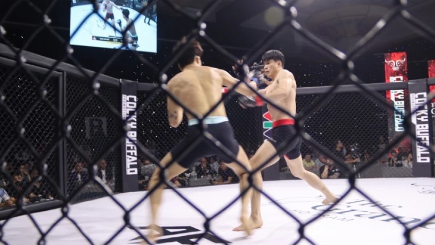 AFC 37 showdown brings top MMA fighters to Vietnam