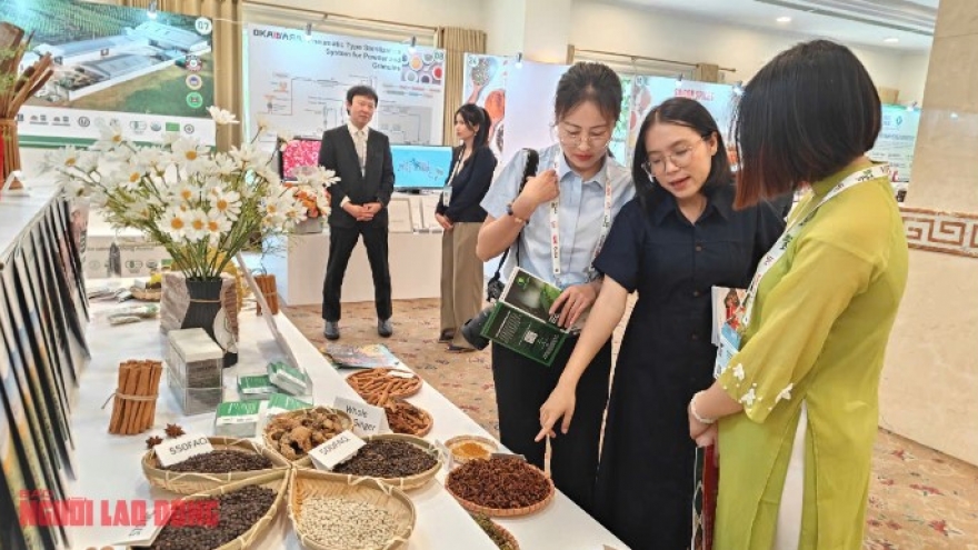 Chinese enterprises eye Vietnamese peppers