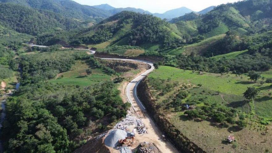 Chuyển hàng nghìn mét vuông đất rừng trái phép, BQL dự án Ninh Thuận bị phạt