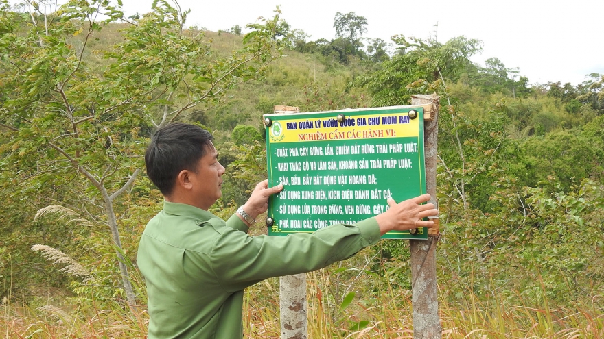 Kon Tum tăng cường canh trực lửa rừng trong cao điểm mùa khô