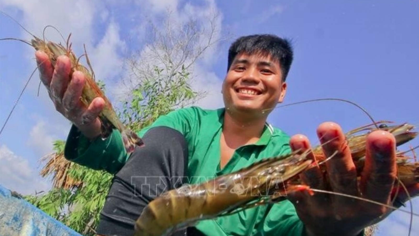 Shrimp industry advised to take actions to maintain growth momentum