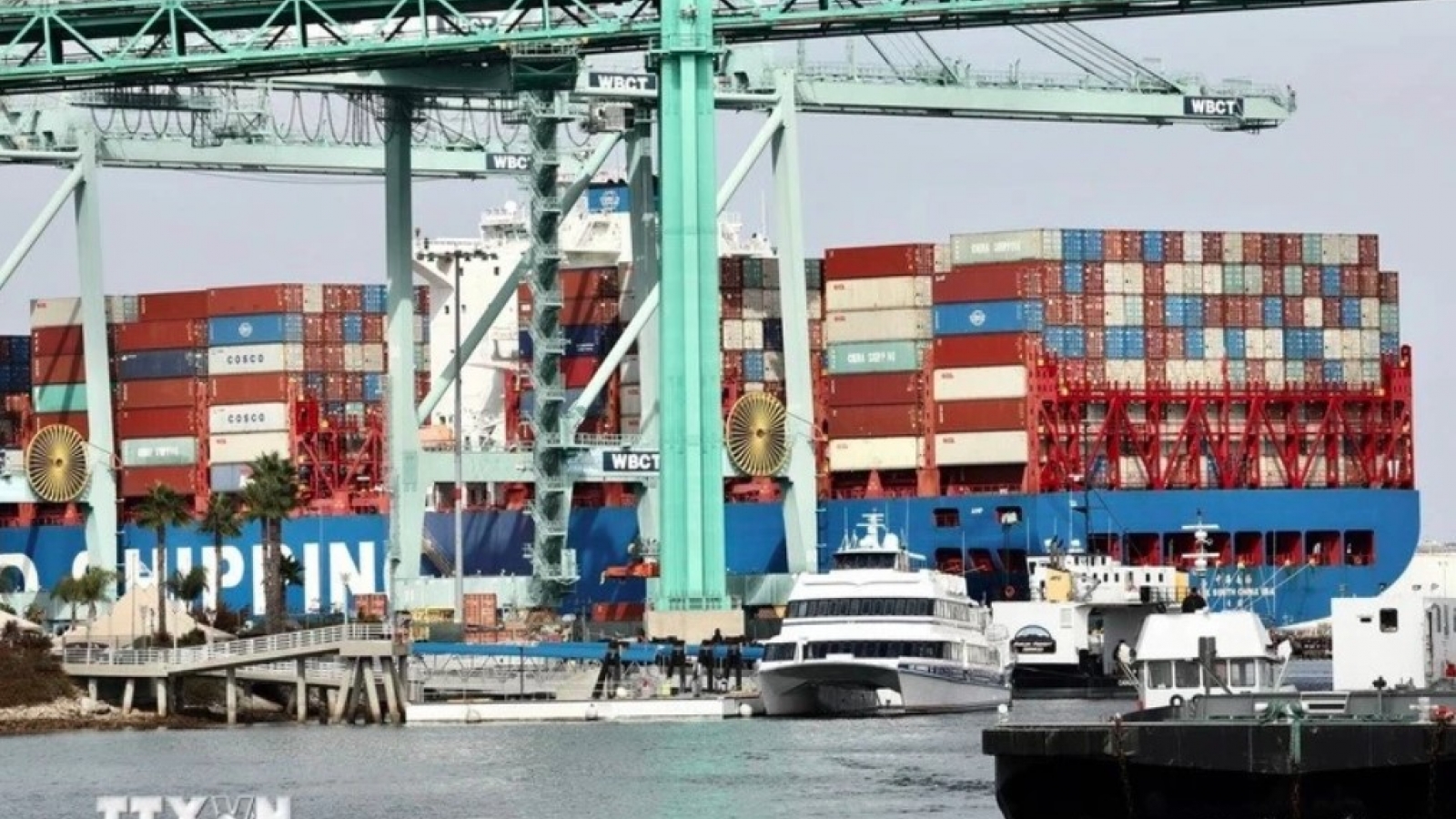 Vietnam attends WTO session on removing technical barriers to trade