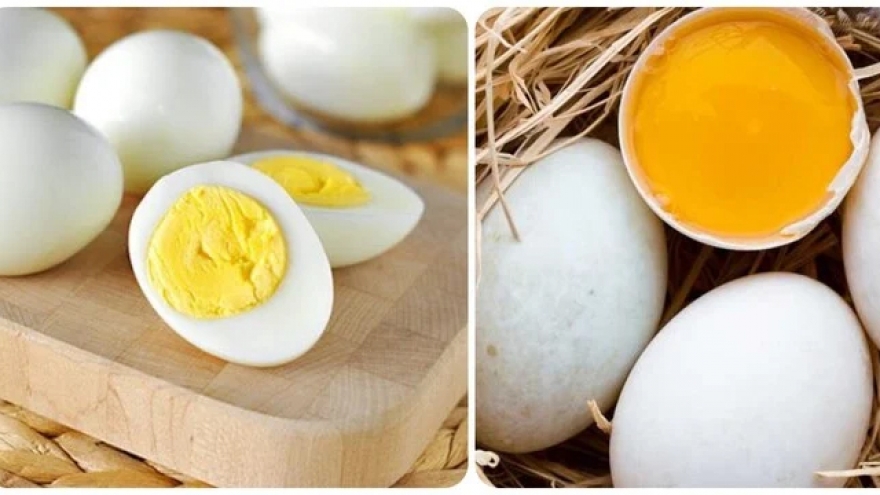 Khi bị dị ứng với trứng gà, có nên ăn trứng vịt?
