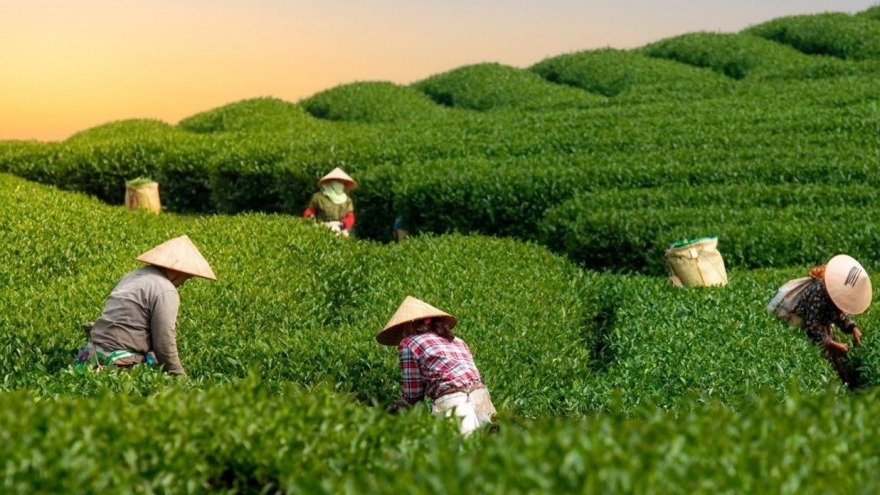 Giữ mục tiêu 65 tỉ USD, nông nghiệp lên ba kịch bản ứng phó thuế Mỹ