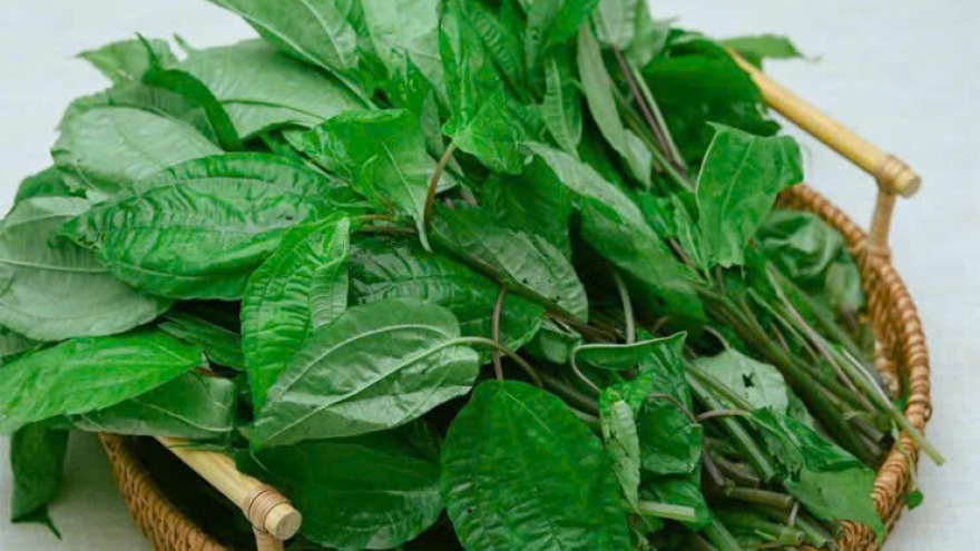 Cây dại ven đường bỗng hóa "vàng xanh", thành đặc sản nổi tiếng