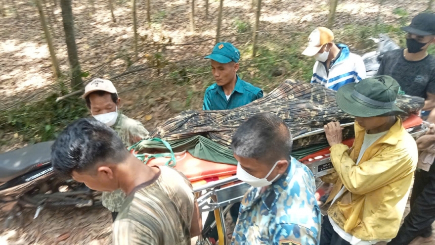 Người đàn ông ở Quảng Bình tử vong khi ngủ qua đêm trong rừng
