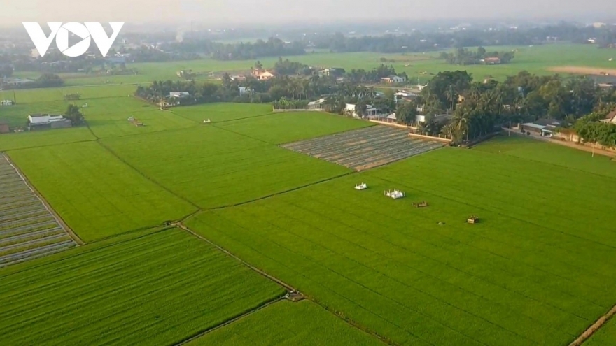 Sẽ điều chỉnh hàng loạt quy định đất đai phù hợp với mô hình chính quyền hai cấp