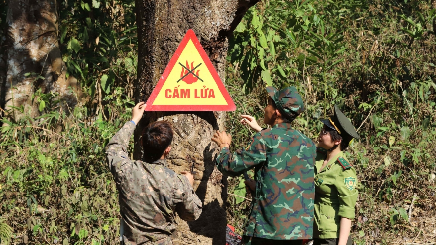Sơn La tăng cường bảo vệ rừng trong những ngày thời tiết hanh khô
