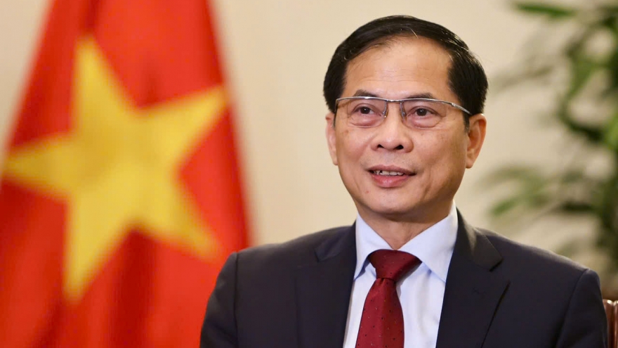 Top Chinese leader's visit bears strategic significance: Deputy PM
