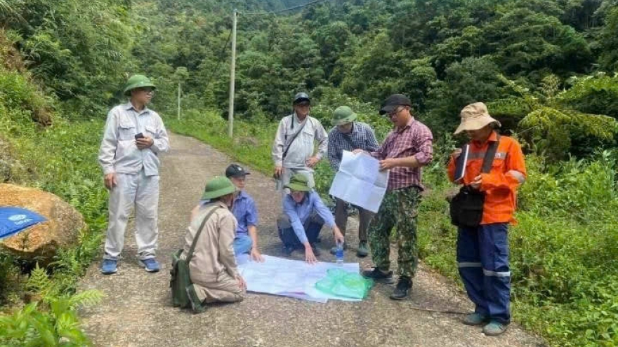 Vietnam discovers 12 gold mines in Central-Central Region