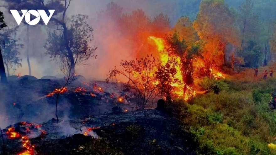 Vietnam faces extreme forest fire risk due to intense heatwave nationwide