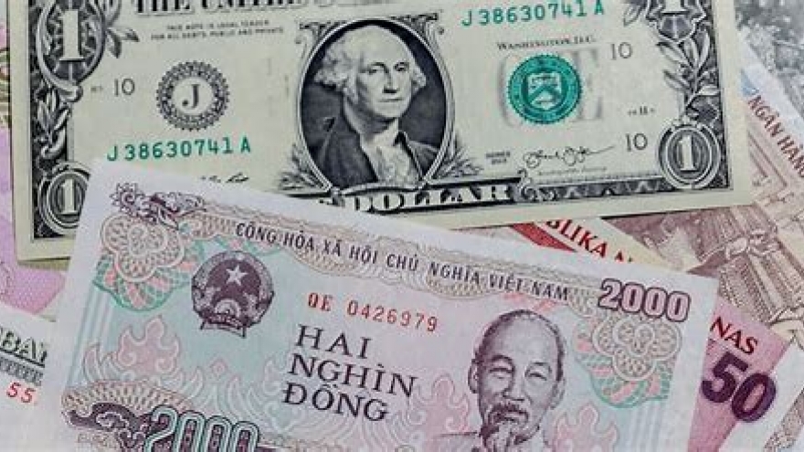 Tỷ giá USD hôm nay 18/4: Tỷ giá trung tâm tăng nhẹ lên mốc 24.898 đồng/USD