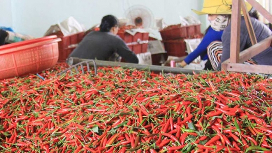 Ớt, chanh leo, tổ yến và cám gạo sắp xuất khẩu chính ngạch sang Trung Quốc