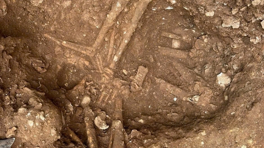 Prehistoric human remains unearthed in central Vietnam