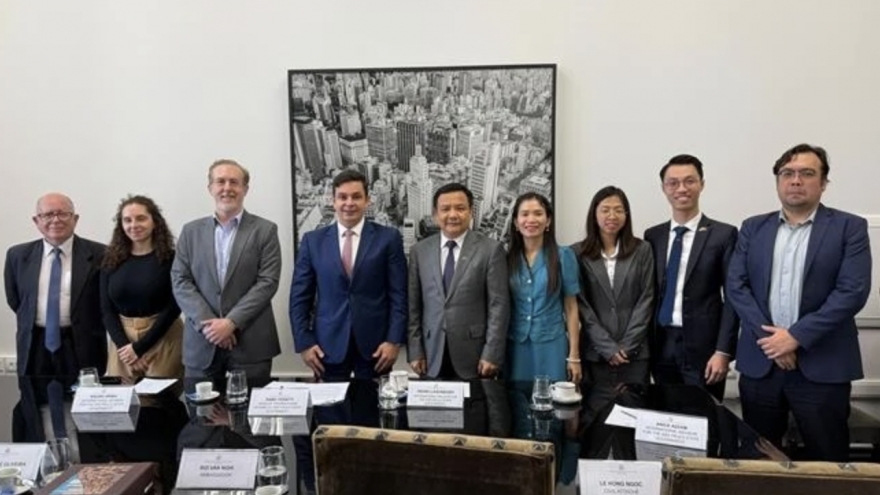 Vietnam, Brazil promote cooperation potential