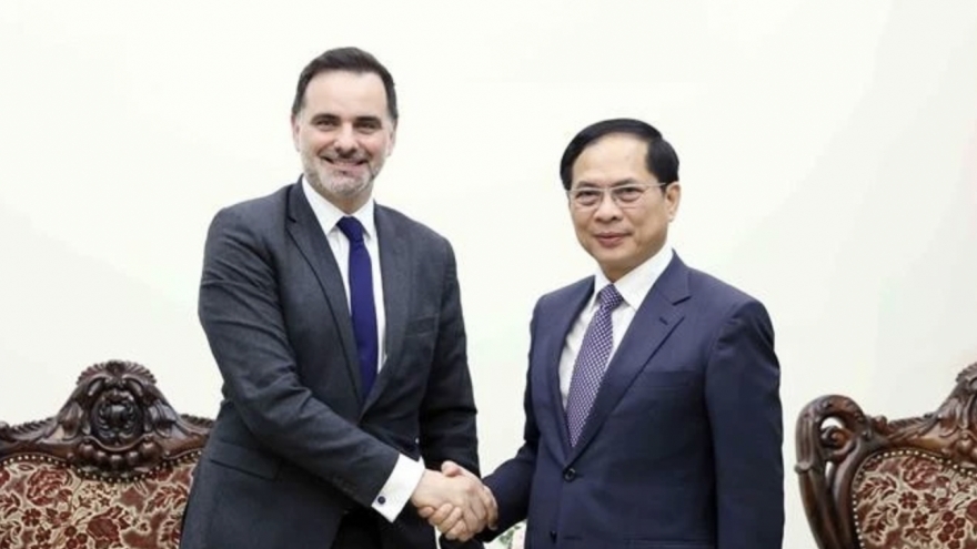 Vietnam values relations with France : Deputy PM