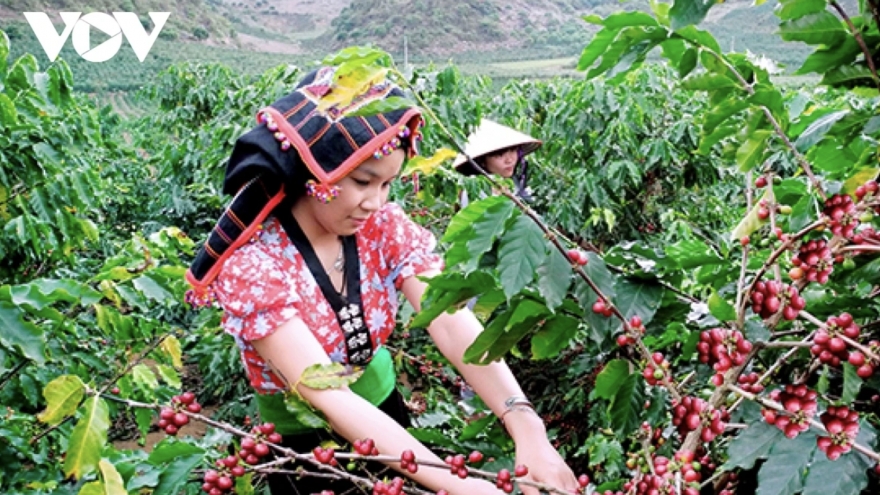 US$4.1 bln trade surplus for agricultural sector since start of 2025