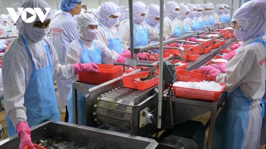 Shrimp export outlook strong amid trade challenges