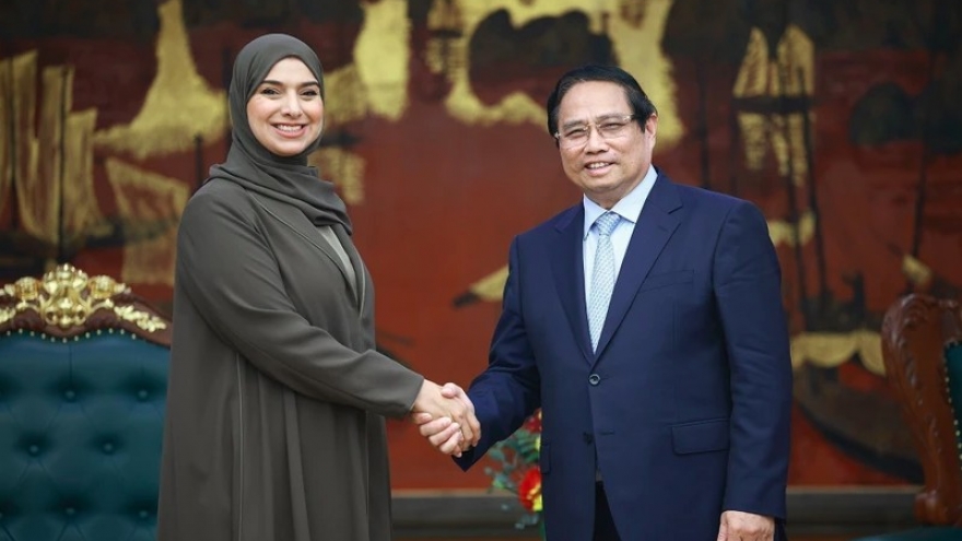 Vietnam wants to learn UAE's experience in economic transformation: PM